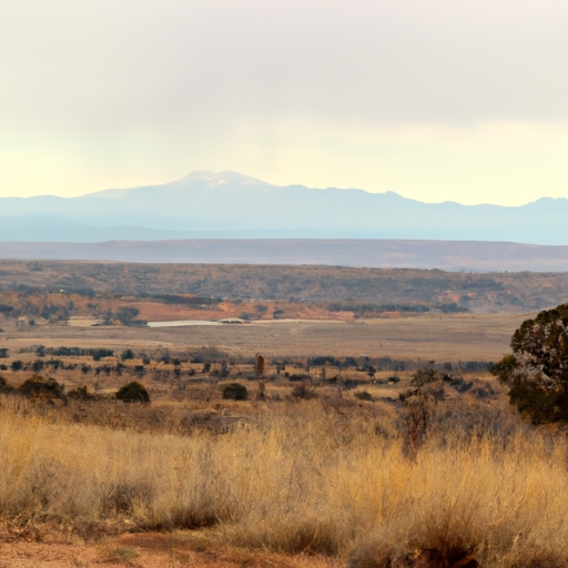 Cash buyers for New Mexico land