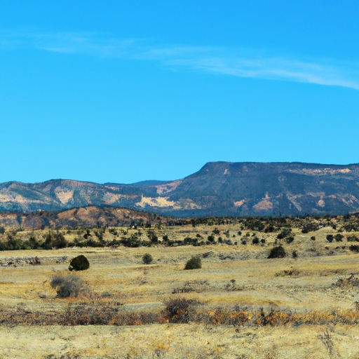 New Mexico land buyers