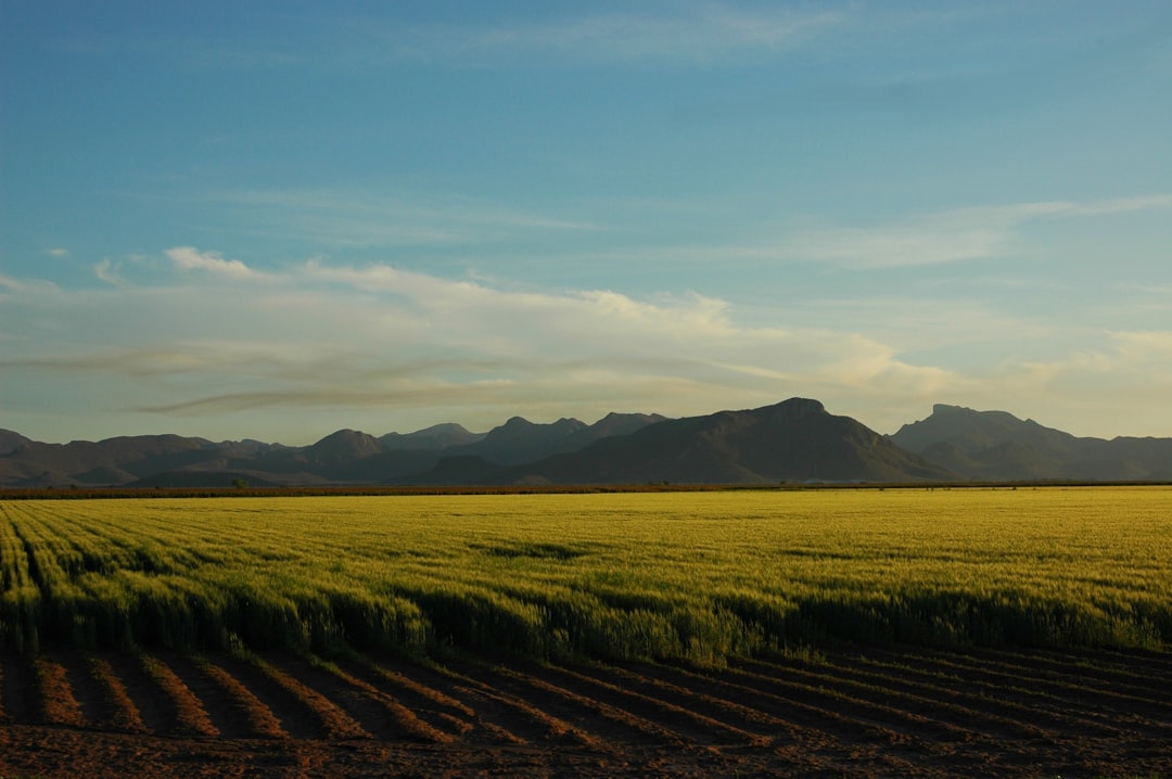 Cash offer for land in New Mexico