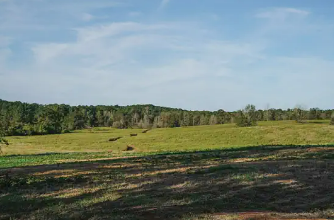 New Mexico land cash buyers