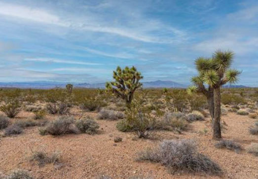 New Mexico land cash offer