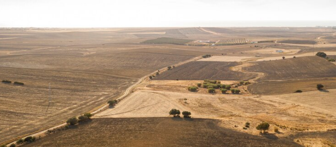 Buy my New Mexico land for cash