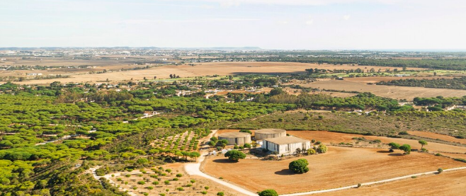 Quick cash for New Mexico land