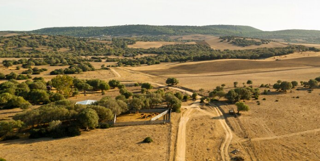 Cash offer for land in New Mexico