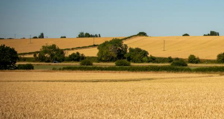 Sell land in New Mexico for cash